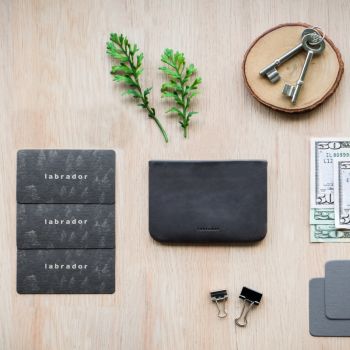 SNAP card case