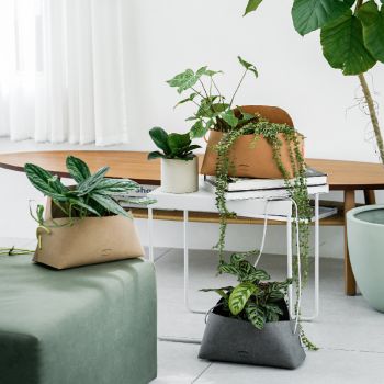 CURV Pot hanger Couple